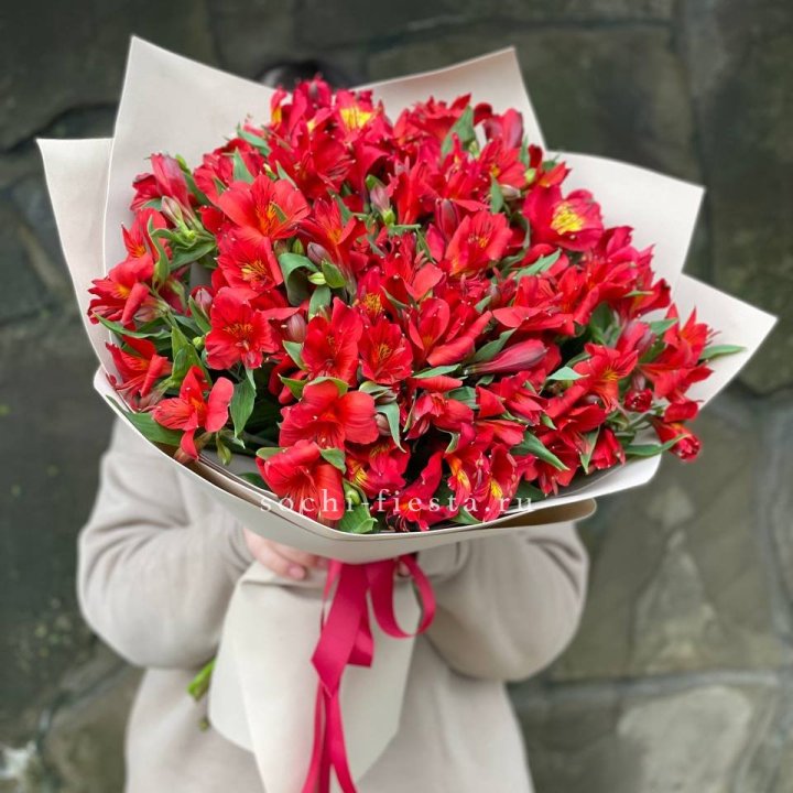 51 альстромерия в Кемерово