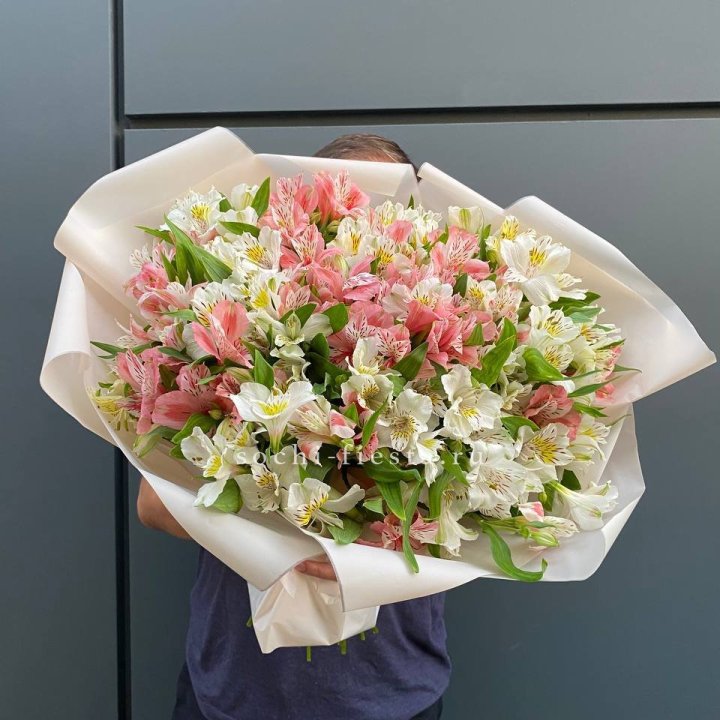 39 альстромерий в Кемерово