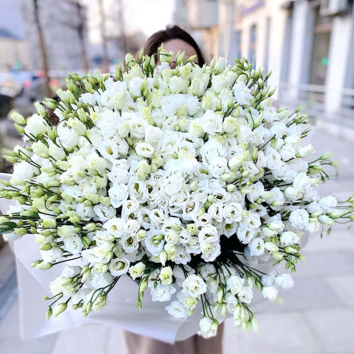 101 белая эустома в Кемерово