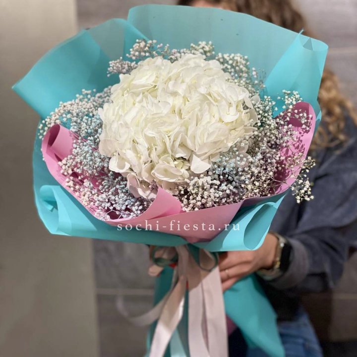 Гортензия "Райдов" в Кемерово