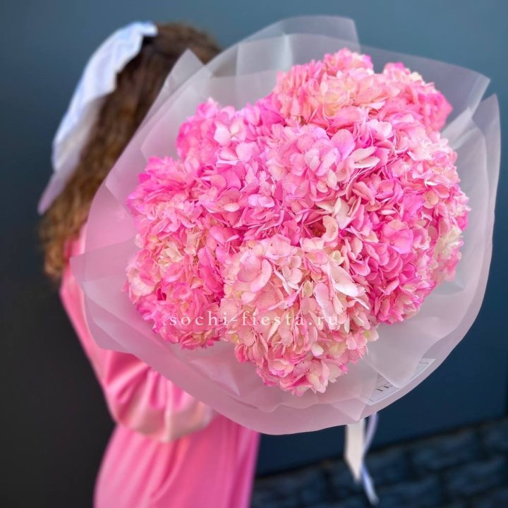 7 ярко розовых гортензий в Кемерово