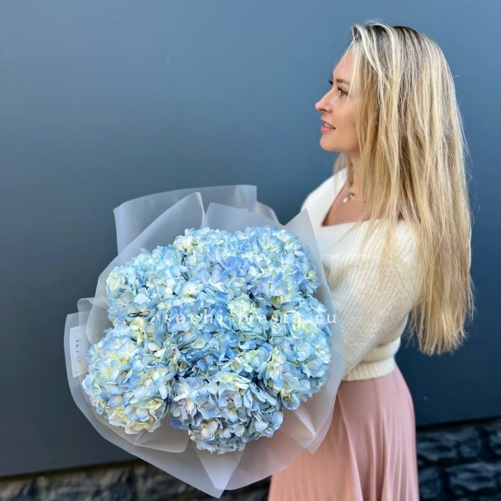 7 голубых гортензий в Кемерово