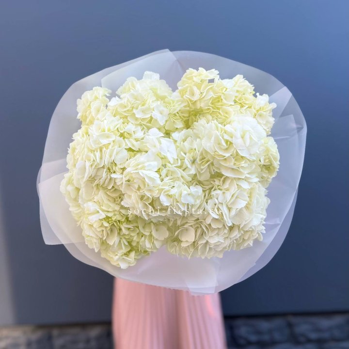 7 белых гортензий в Кемерово