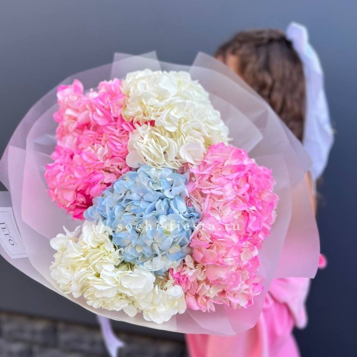 7 гортензий микс в Кемерово