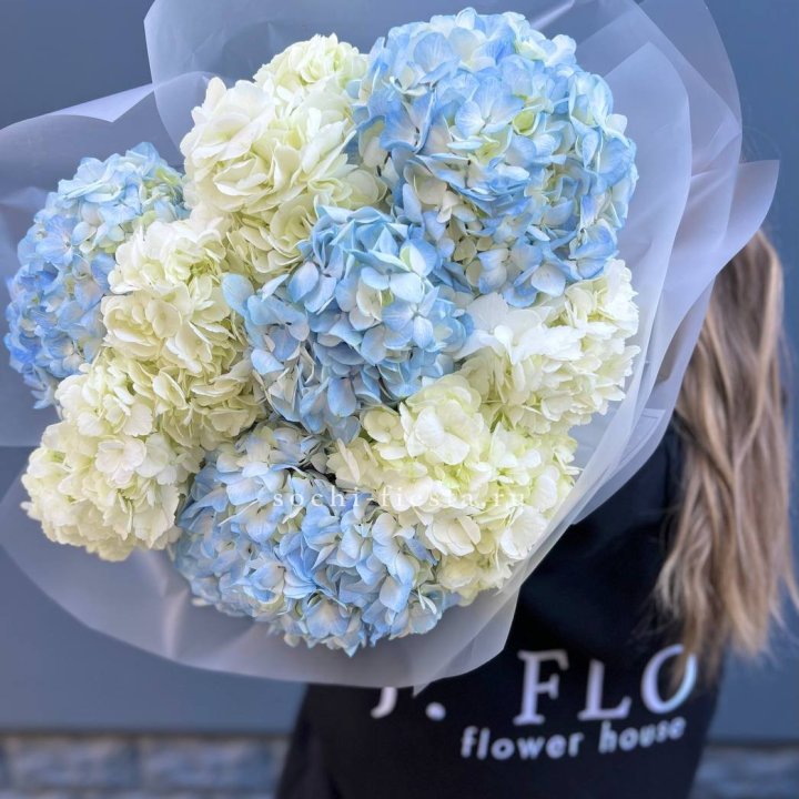 9 бело-голубых гортензий в Кемерово