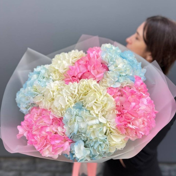 9 гортензий микс в Кемерово