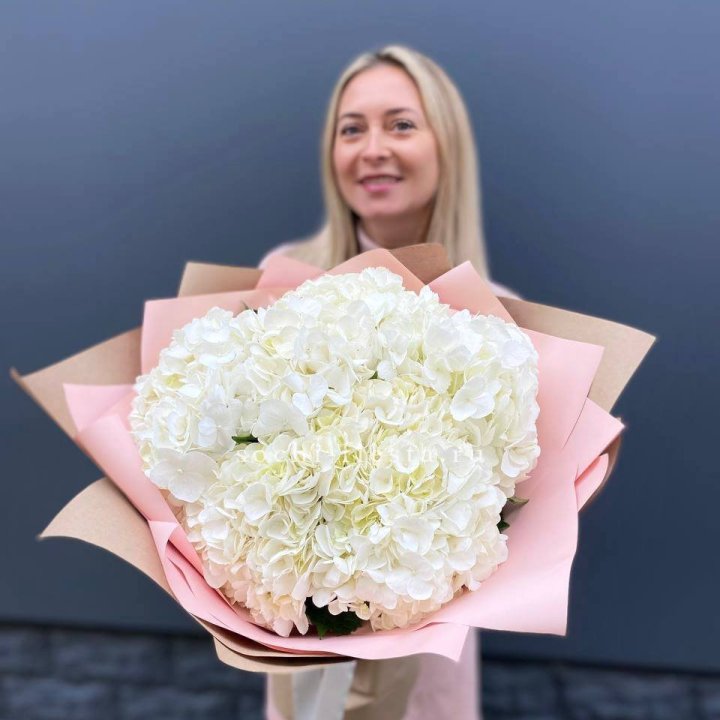 Гортензия белая в Кемерово