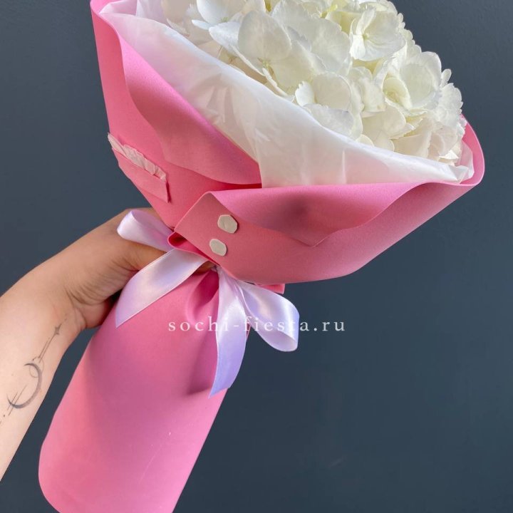 Гортензия в розовом пиджаке в Кемерово