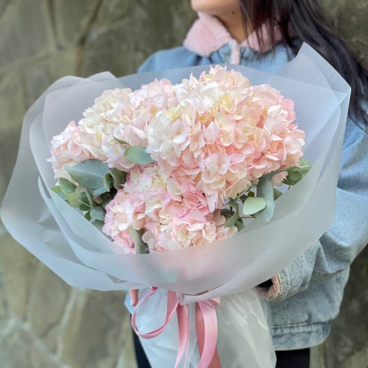 5 розовых гортензий в Кемерово