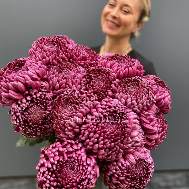 Охапка хризантем Бигуди в Кемерово