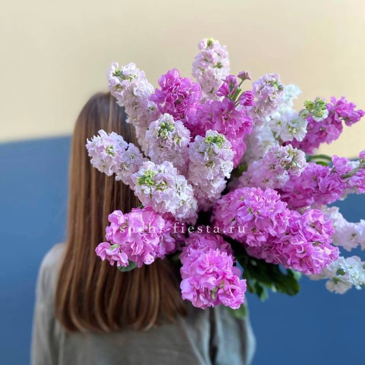 Охапка маттиолы в Кемерово