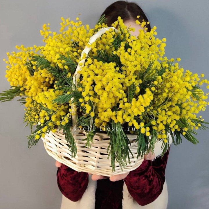 Корзина ароматной мимозы в Кемерово