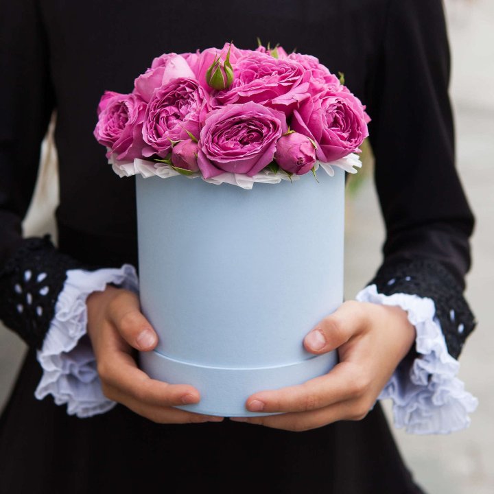 Бокс мини мисти в Кемерово