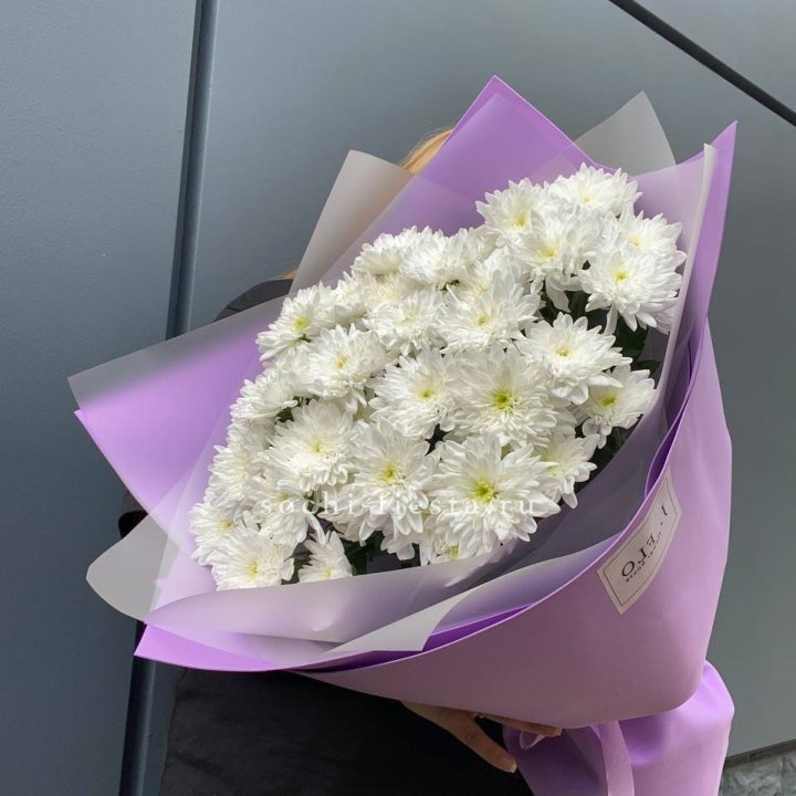  7 хризантем  в Кемерово