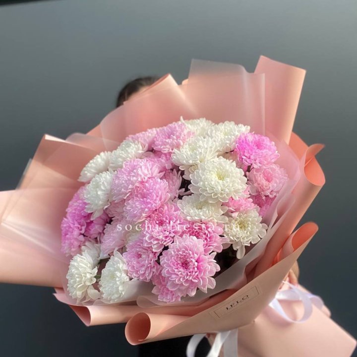  Букет бело-розовых хризантем  в Кемерово