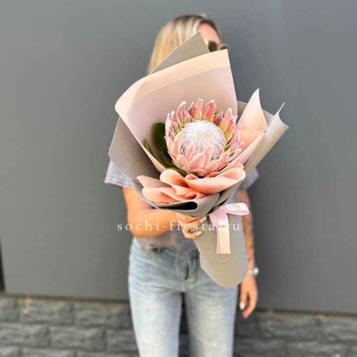 Протея мини  в Кемерово