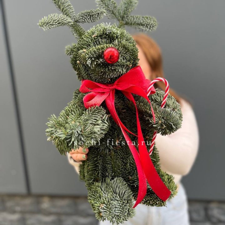 "Олень" из нобилиса в Кемерово