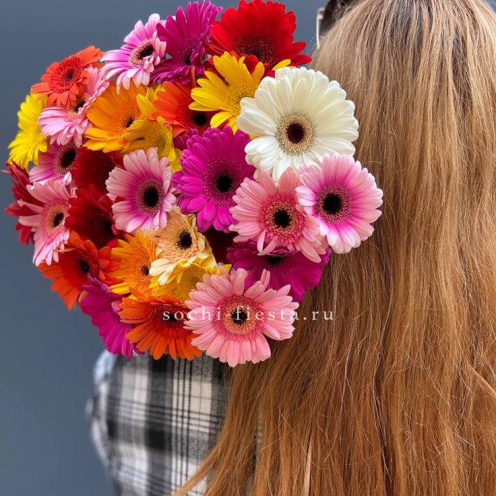 Охапка гербер  в Кемерово