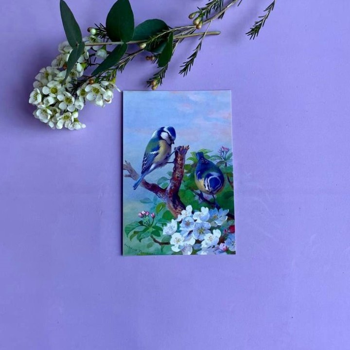 Открытка к букету "Птицы" в Кемерово