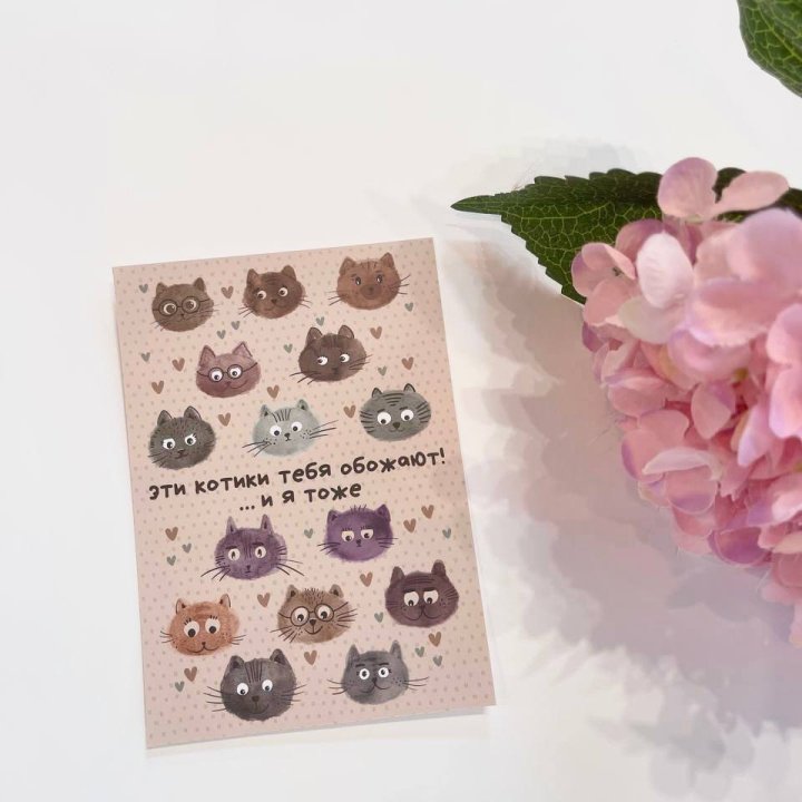 Открытка к букету "Котики" в Кемерово