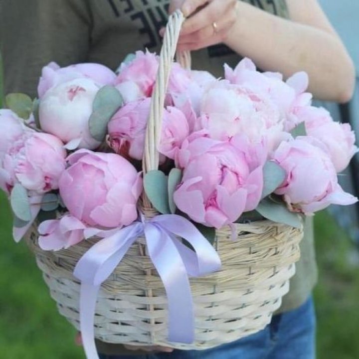 15 пионов в корзине в Кемерово