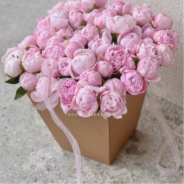 49 пионов в крафт коробке в Кемерово