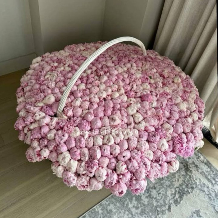 Корзина 555 пионов в Кемерово