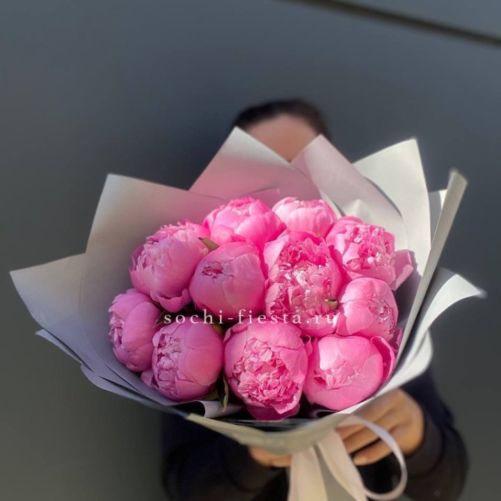 Пионы Алекс флеминг в Кемерово