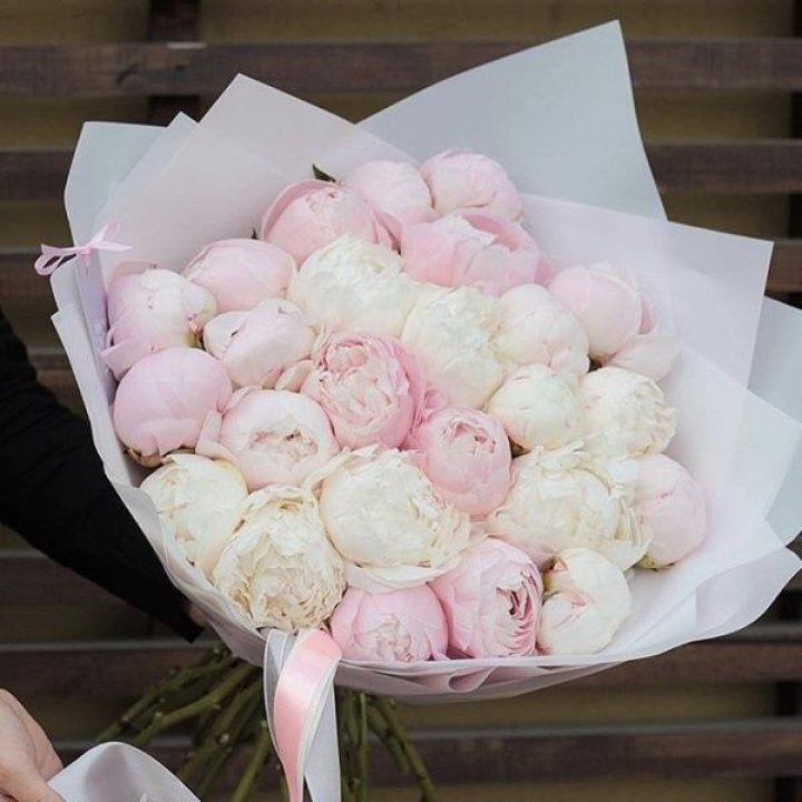 29 пионов в Кемерово