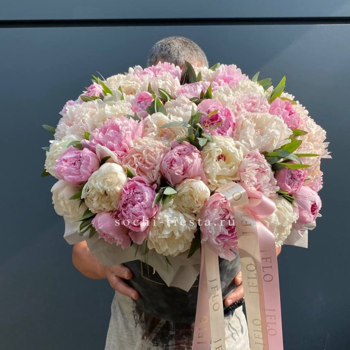 51 пионов в боксе в Кемерово