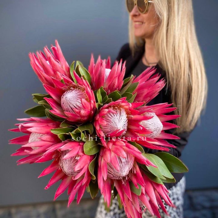 Протея штучно в Кемерово
