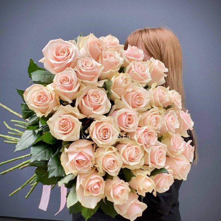 35 кремовых высоких роз в Кемерово