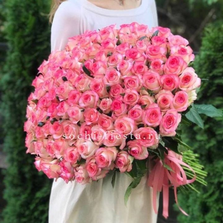 101  джумилия роза  в Кемерово