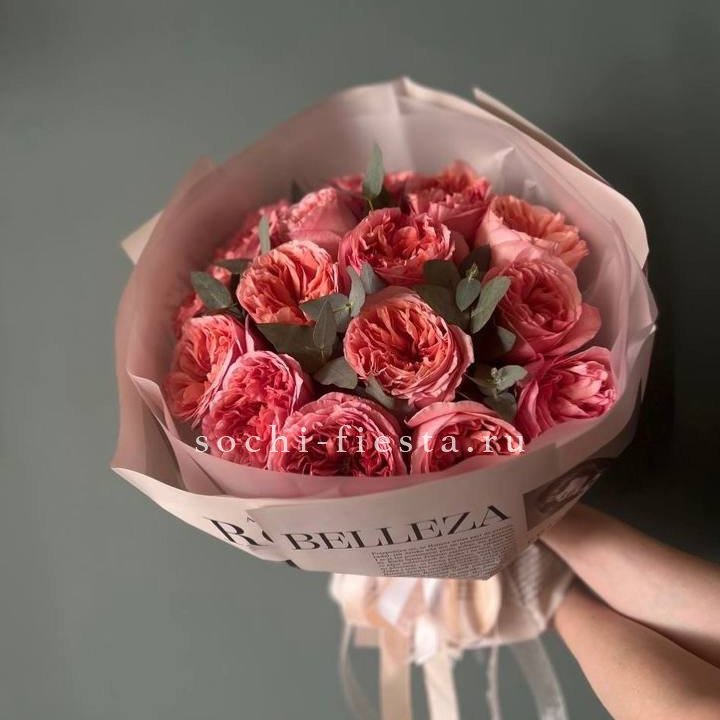 15 Пинк экспрешен в Кемерово