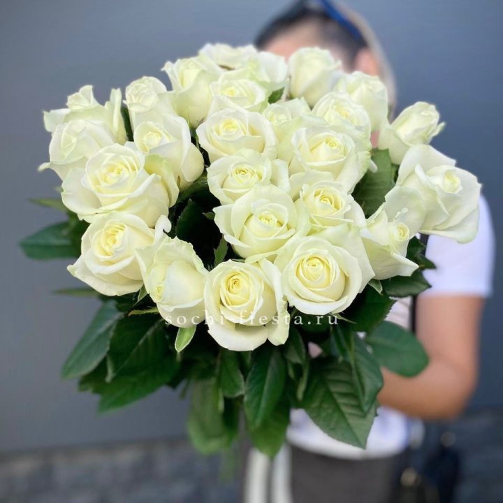 Голландские розы белые 25 в Кемерово