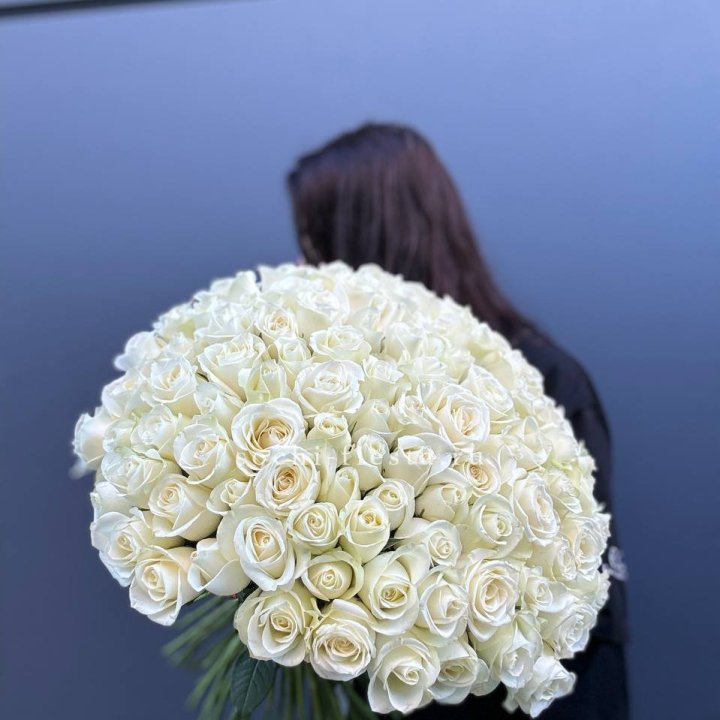 Охапка из 101 белой розы  в Кемерово