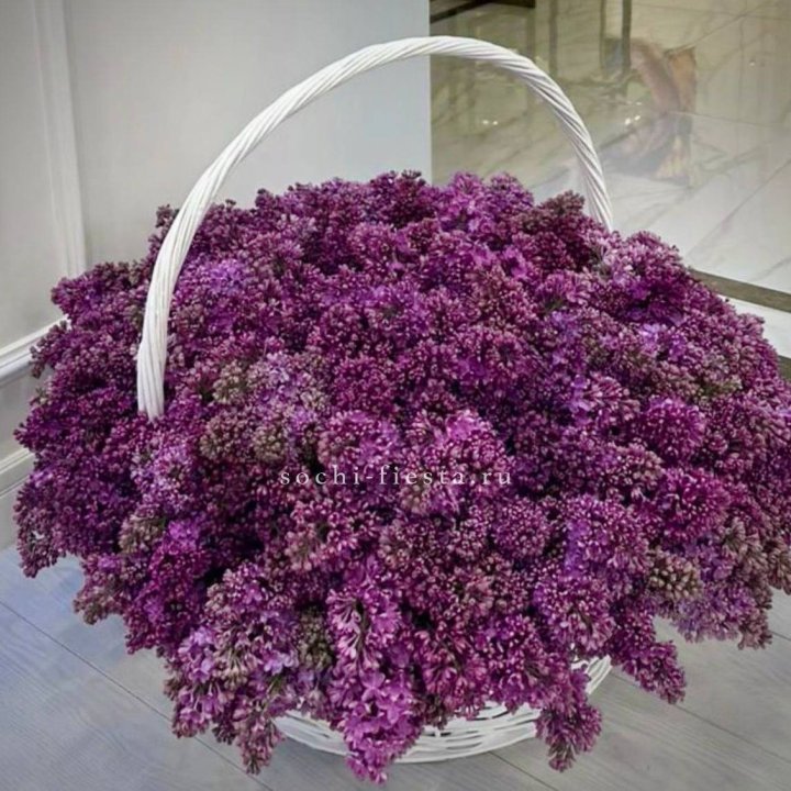 Корзина сирени в Кемерово