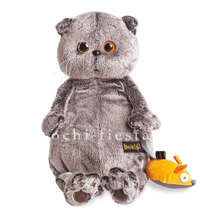 Кот Басик с мышкой в Кемерово