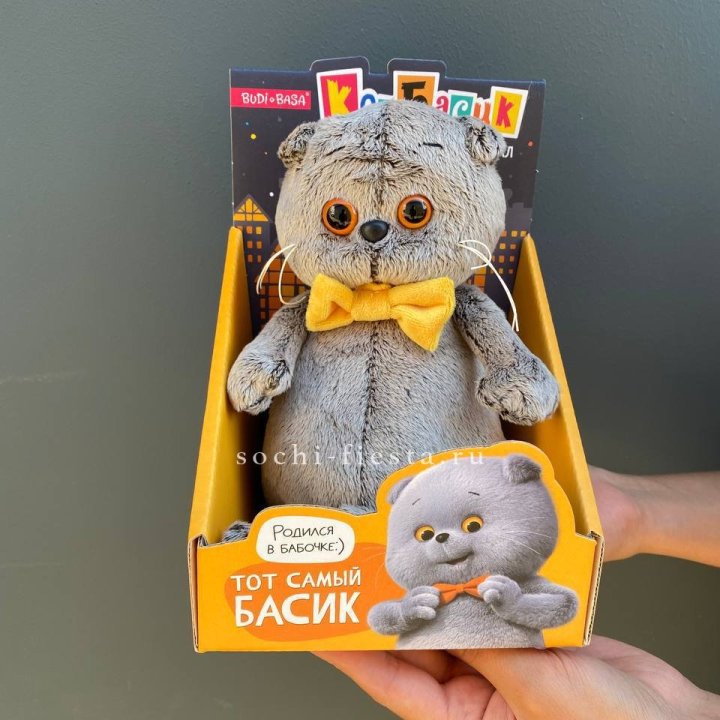 Кот Басик с бабочкой в Кемерово