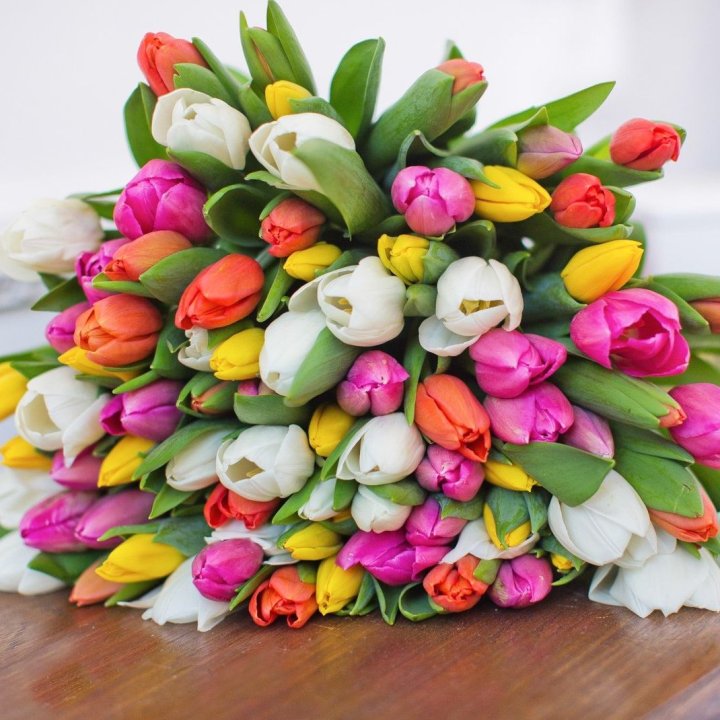79 тюльпанов "Рандом" в Кемерово