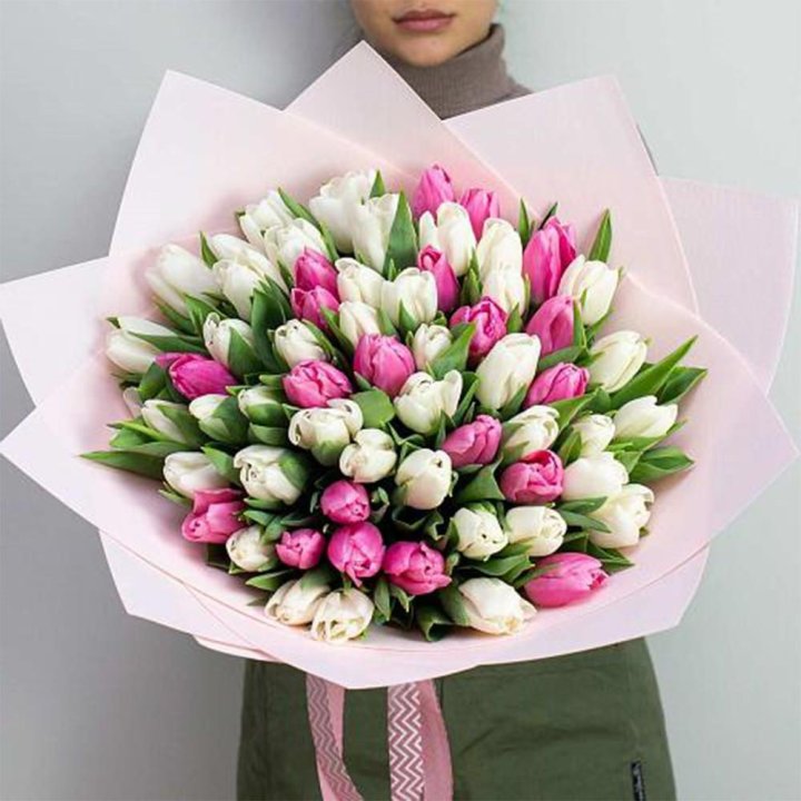 61 бело-розовый тюльпан в Кемерово