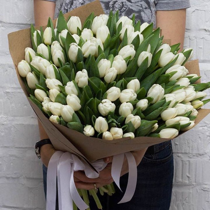 101 тюльпан сноу в Кемерово