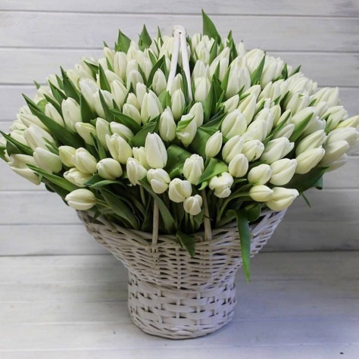 Корзина из 151 тюльпана в Кемерово