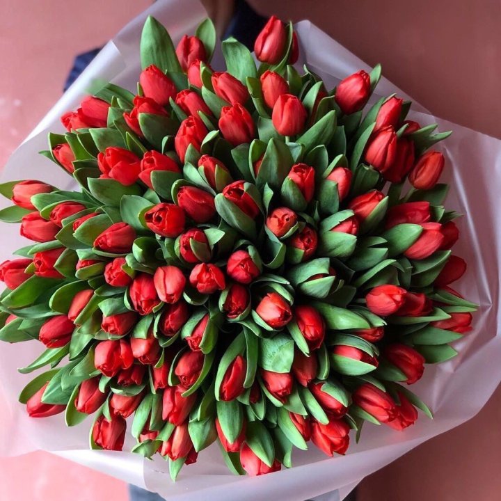 101 красный тюльпан в Кемерово